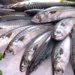 Polyunsaturated Fat Mackerel Polyunsaturated Fat Mackerel