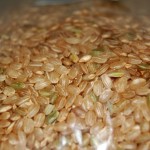 brown rice brown rice